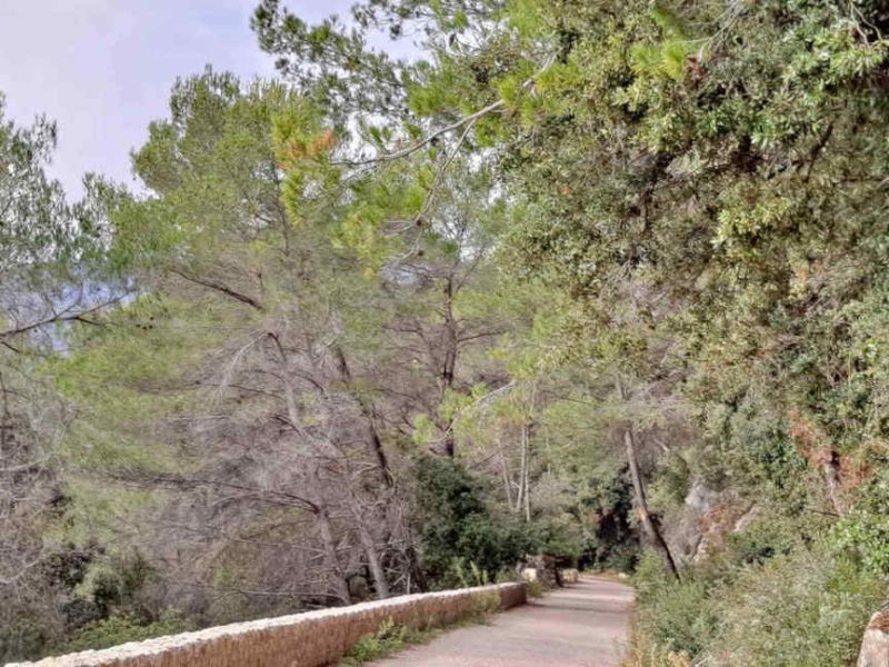 Une balade facile à faire famille entre Bar sur Loup et Tourrettes sur Loup