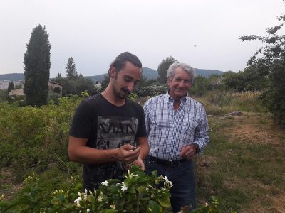 M CONSTANT VIALE, avec Guilhem CODERA notre fils, PRODUCTEUR DE PLANTES A PARFUMS EN PAYS DE GRASSE