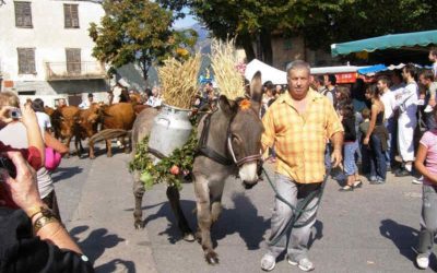 Fête du retour des bergers, à Belvédere A 1h25 de nos gîtes