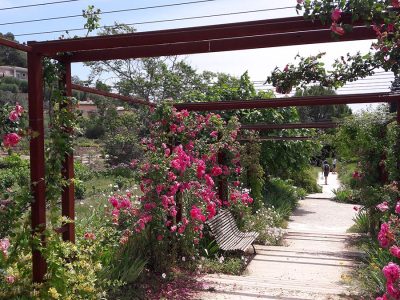 jardin du MUSEE INTERNATIONAL DE LA PARFUMERIE Mouans Sartoux