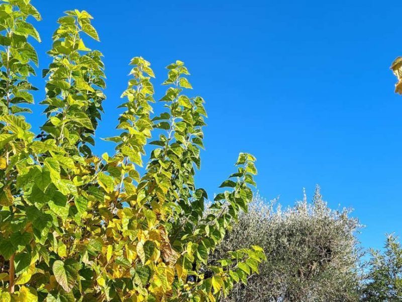 Balade au Bar sur Loup au soleil de la cote d’azur