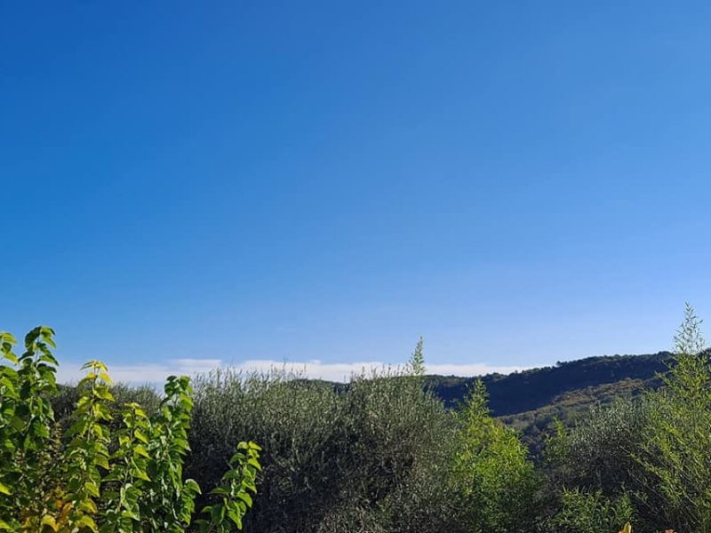 Vacances au soleil de la Côte d’Azur en Novembre