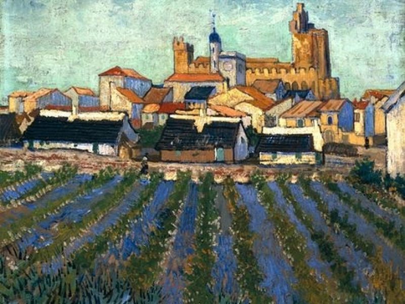 La lavande au Plateau de Valensole