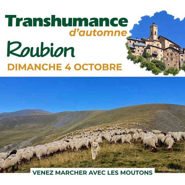 Fête de la Transhumance à Roubion – tradition pastorale dans les Alpes-Maritimes