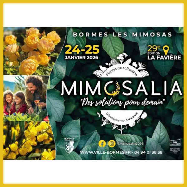 fetes du mimosa dans les ALpes Maritimes et le Var, Fêtes d'hiver au solail de la Côte d'Azur